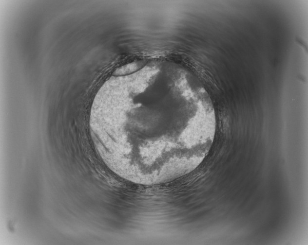 X0000101161393200807251100