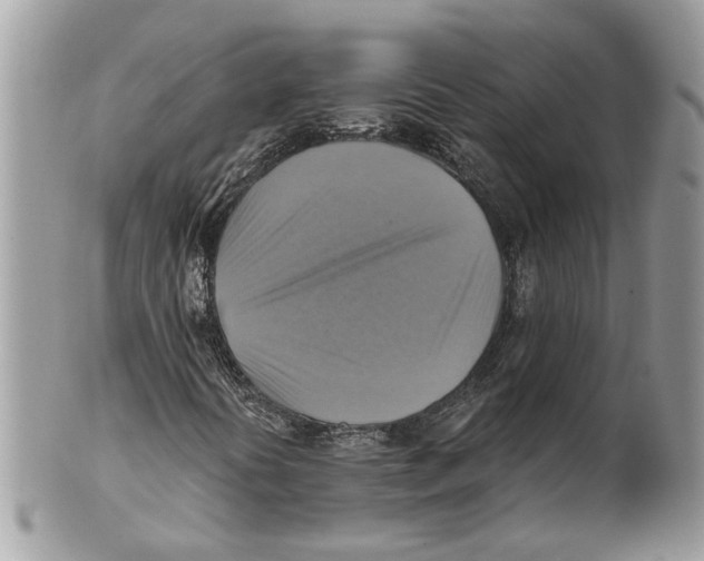 X0000101161394200807251100