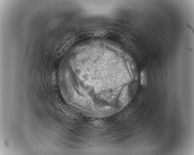 X0000101161395200807251100