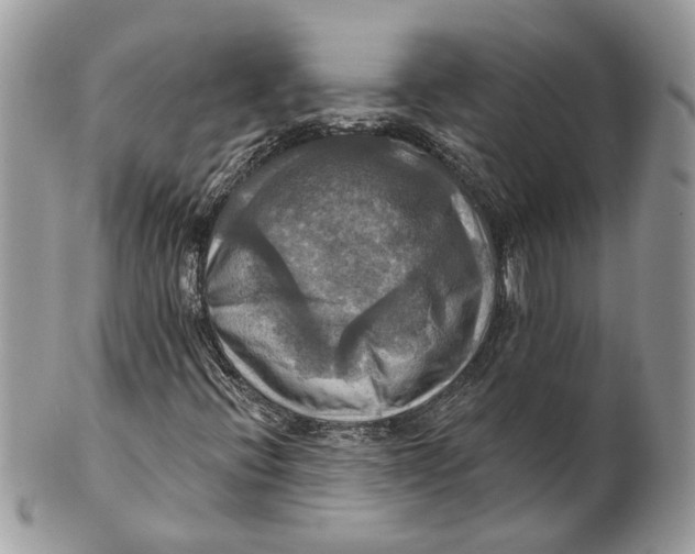 X0000101161396200807251100
