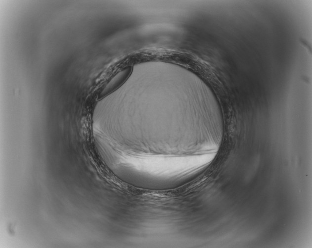 X0000101161397200807251100