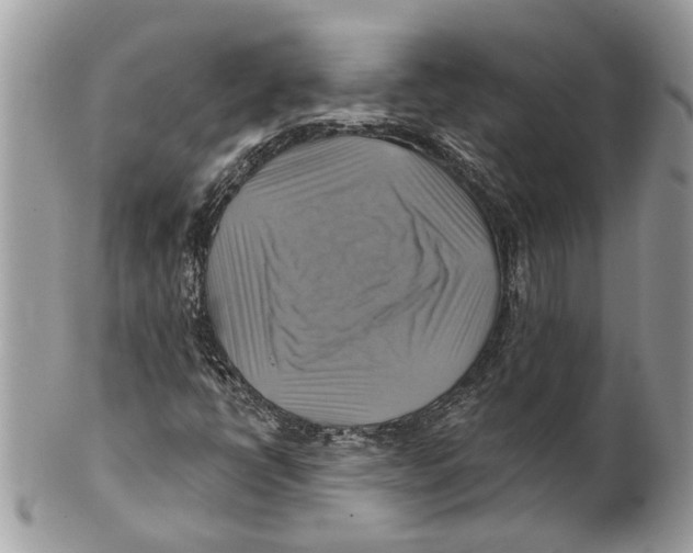 X0000101161398200807251100
