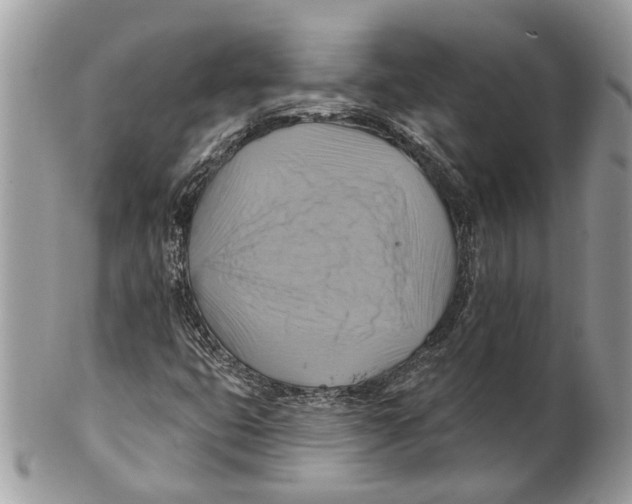 X0000101161399200807251100