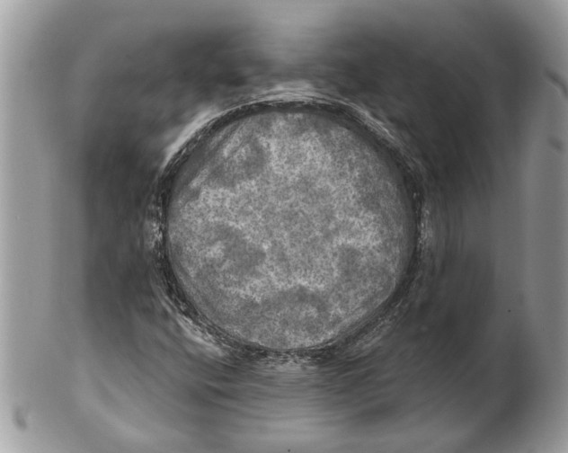 X0000101161400200807251100