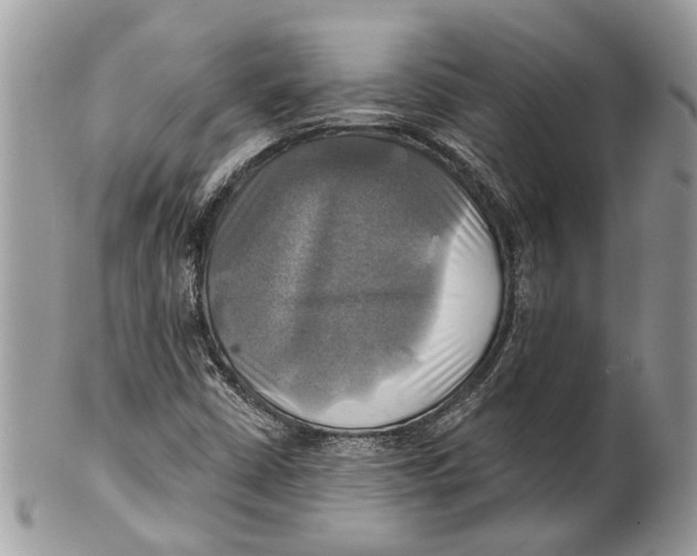 X0000101161402200807251100