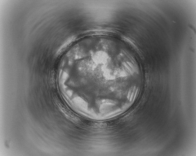 X0000101161403200807251100