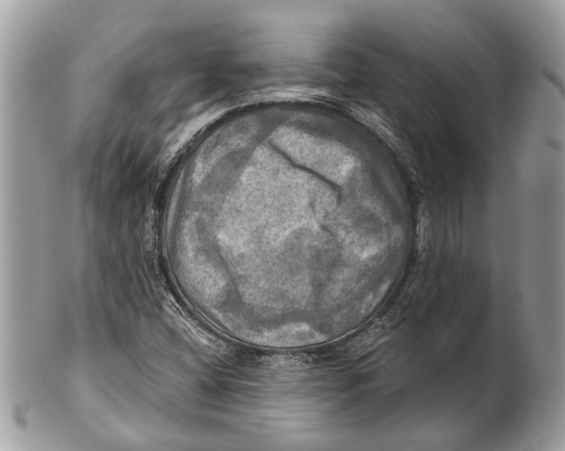 X0000101161404200807251100