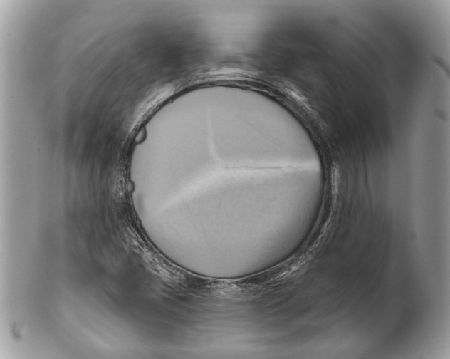 X0000101161405200807251100