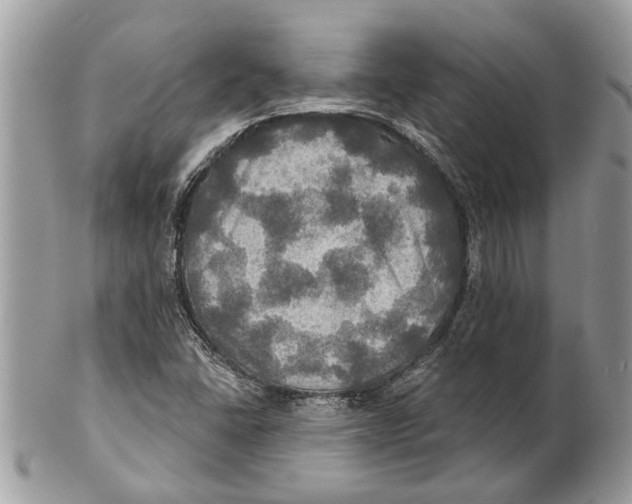 X0000101161406200807251100