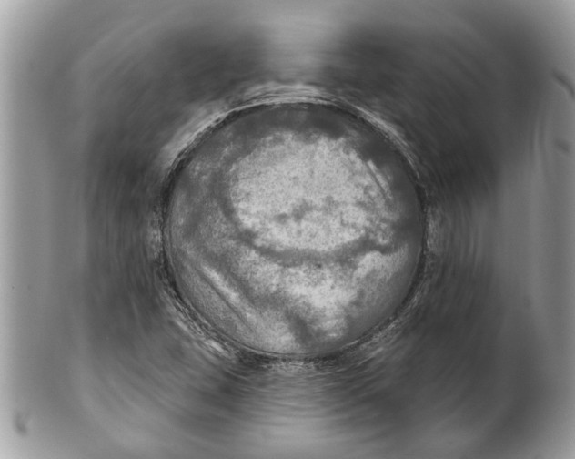 X0000101161407200807251100