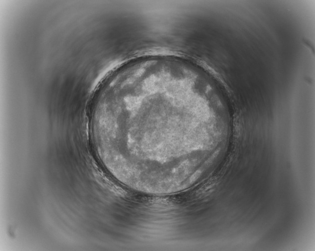 X0000101161408200807251100