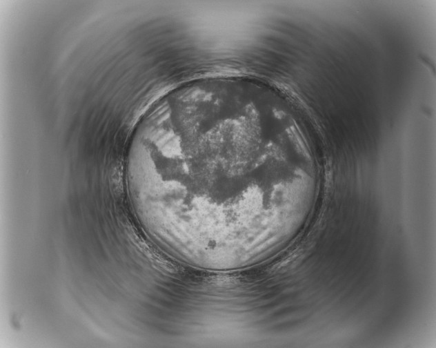 X0000101161409200807251100