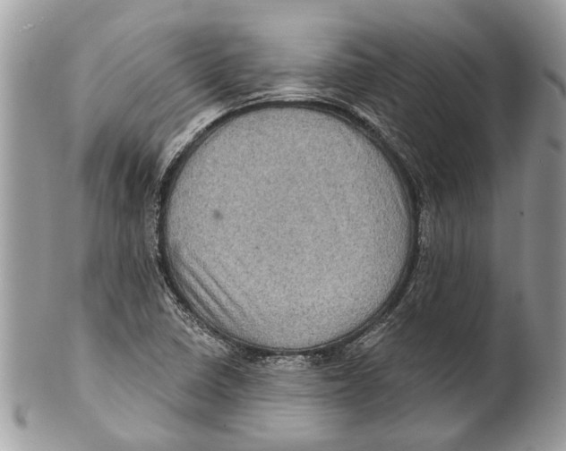 X0000101161410200807251100