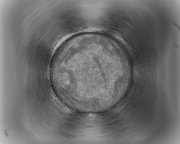 X0000101161412200807251100