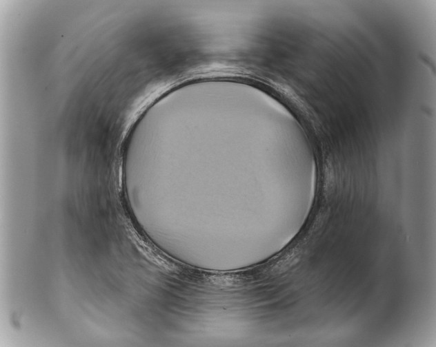 X0000101161413200807251100