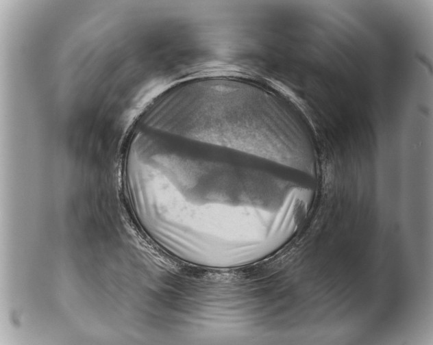 X0000101161415200807251100