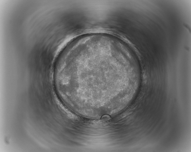 X0000101161416200807251100