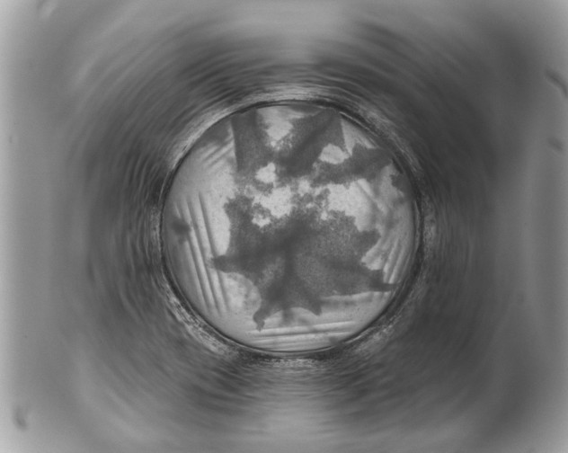 X0000101161417200807251100