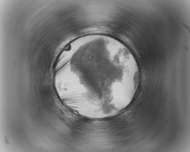 X0000101161419200807251100