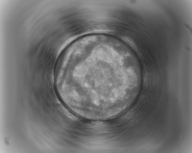 X0000101161420200807251100