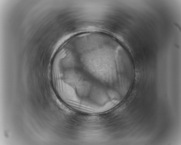 X0000101161421200807251100
