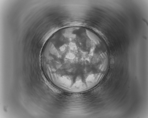 X0000101161423200807251100