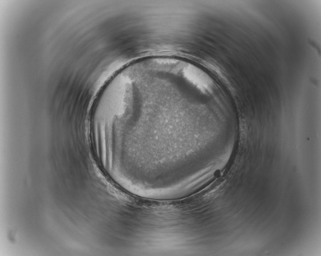 X0000101161424200807251100