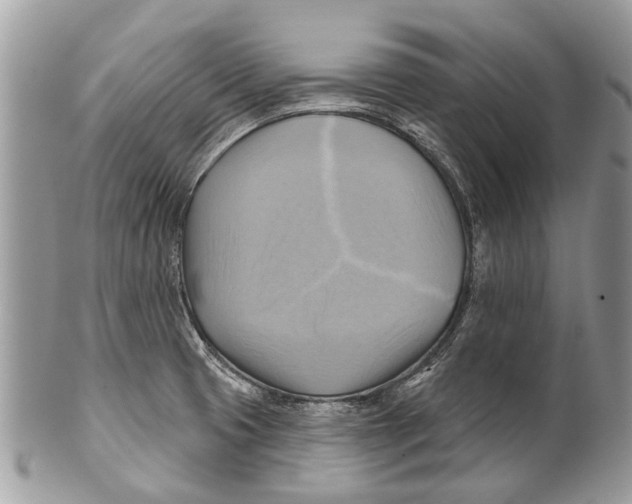 X0000101161425200807251100