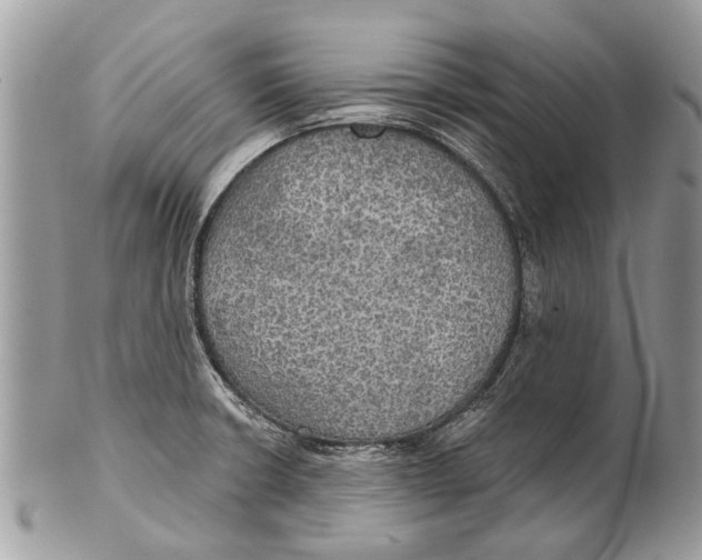 X0000101161426200807251100