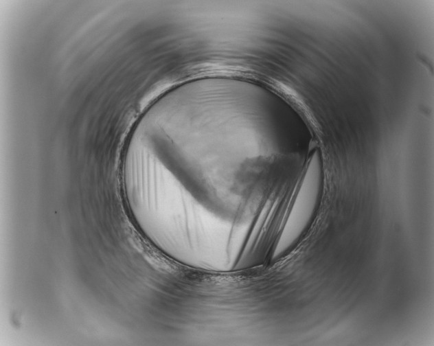 X0000101161427200807251100