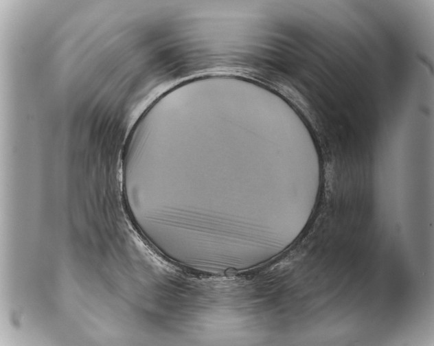 X0000101161428200807251100