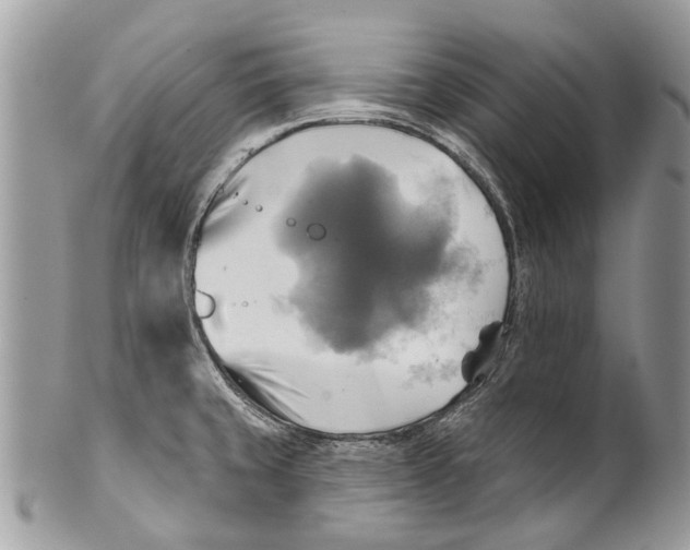X0000101161429200807251100