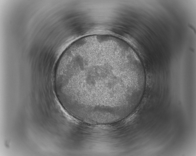 X0000101161430200807251100