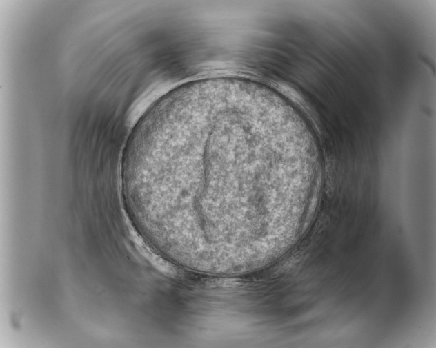 X0000101161431200807251100