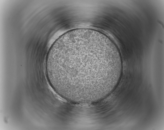 X0000101161432200807251100