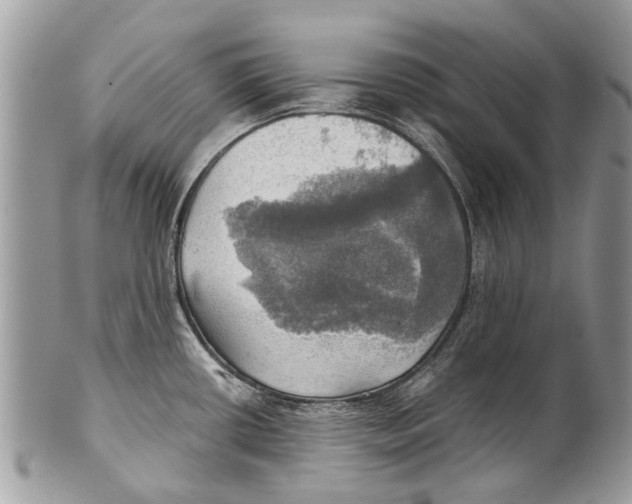 X0000101161434200807251100
