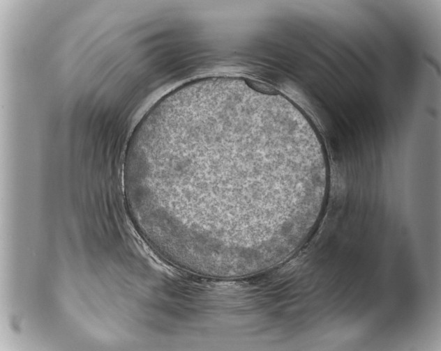 X0000101161436200807251100