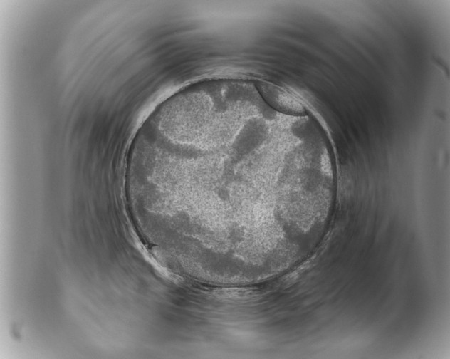 X0000101161437200807251101