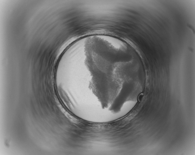 X0000101161438200807251101