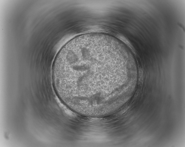 X0000101161439200807251101