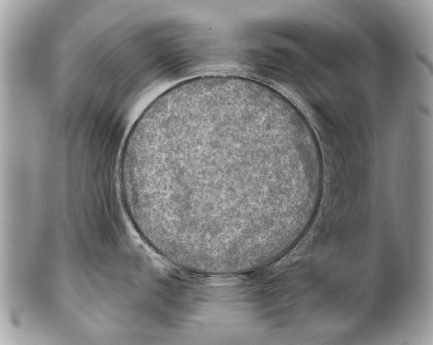 X0000101161440200807251101
