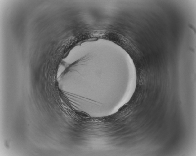 X0000101161441200807251100