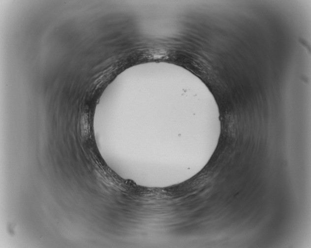 X0000101161442200807251100
