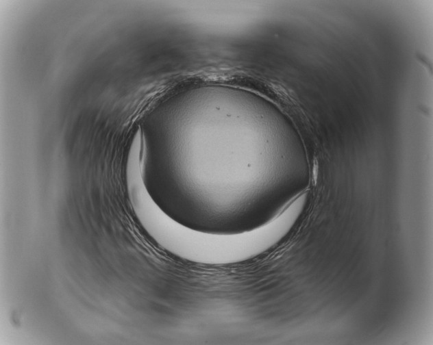 X0000101161444200807251100