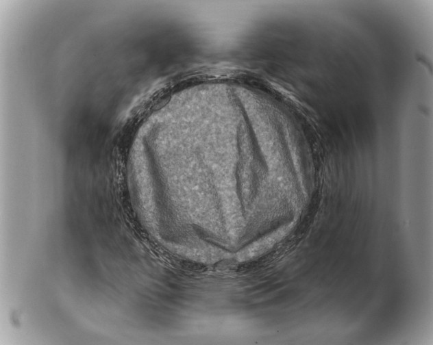 X0000101161447200807251100