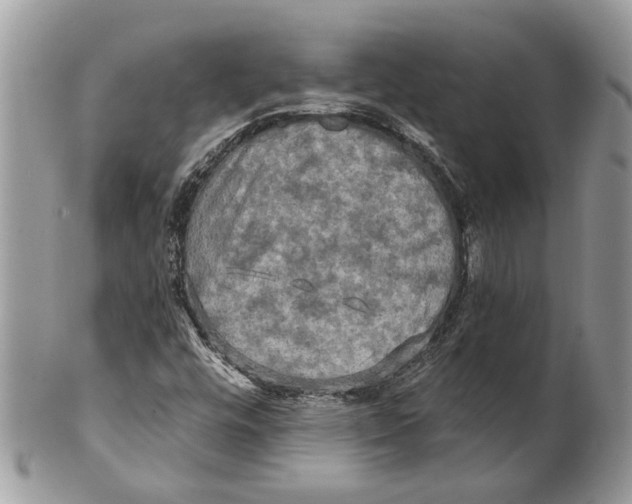 X0000101161448200807251100