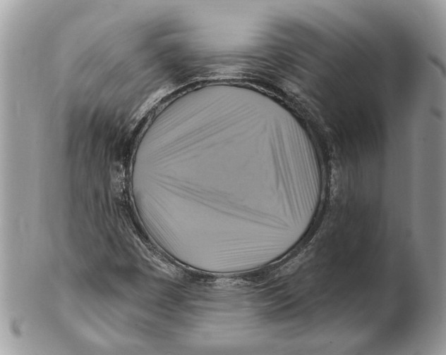 X0000101161449200807251100