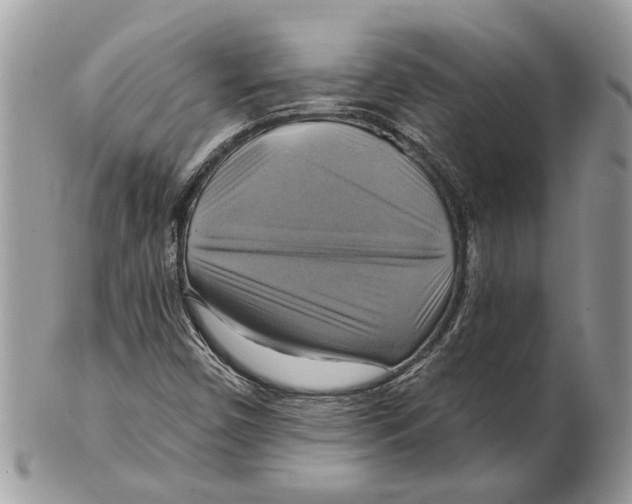 X0000101161450200807251100