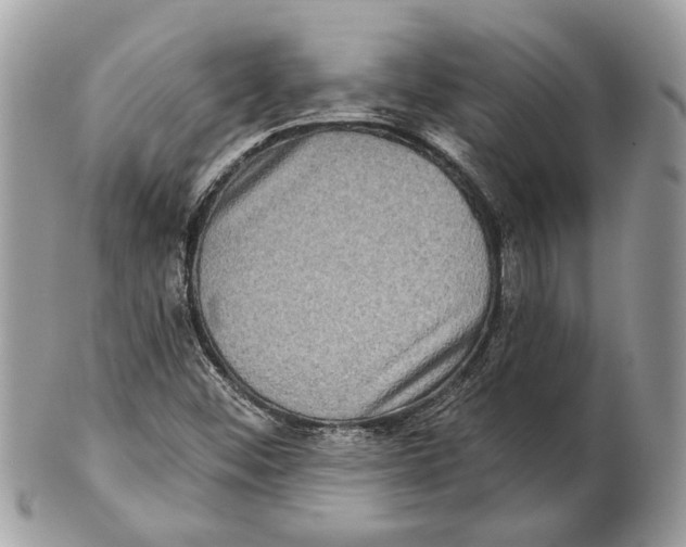 X0000101161452200807251100