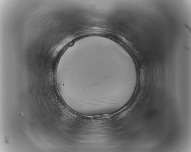 X0000101161453200807251100